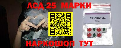 спиды Кимры