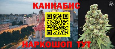 мяу мяу мука Кингисепп