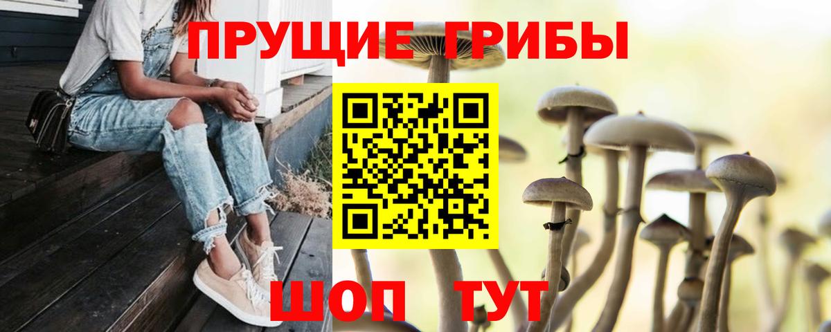 Галлюциногенные грибы мухоморы  Вход с VPN  Кувандык  Псилоцибиновые грибы Cubensis 