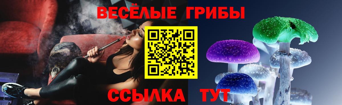 Галлюциногенные грибы Psilocybine cubensis Кувандык